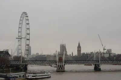 DSC_5823 (Large).JPG